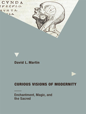 cover image of Curious Visions of Modernity